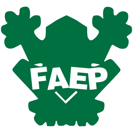 FAEP | Concept Sono